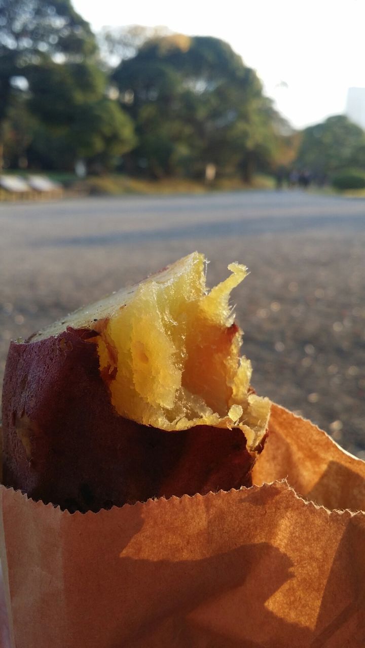 food and drink, focus on foreground, yellow, day, tree, close-up, food, outdoors, freshness, human hand, nature, one person, sky