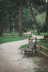 Bench in park
