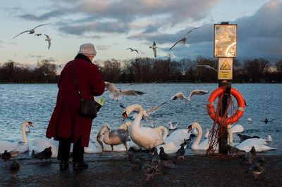 Reflection of clouds in water
