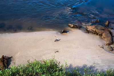 View of the river that flows into boca do rio beach in salvador in the brazilian state of bahia.