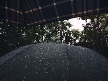 Close-up of wet car window