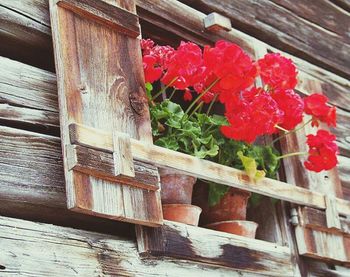 Low angle view of wooden door