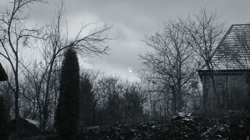 Low angle view of bare trees against sky