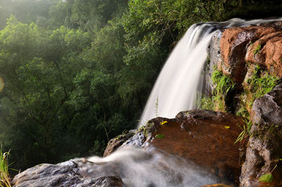 Scenic view of waterfall in forest