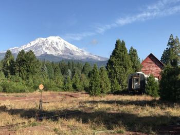 Trees on field by mountain against sky