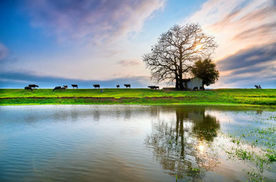 Scenic view of lake against sky