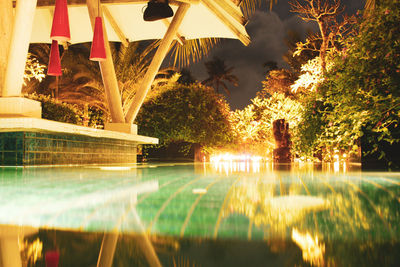 Reflection of trees in swimming pool at night