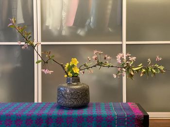 Close-up of potted plant on table at home