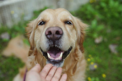 Portrait of man holding dog