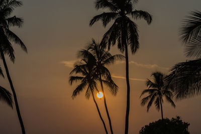 Silhouette palm trees against sky during sunset