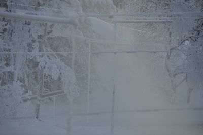 Close-up of snow