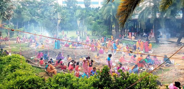 High angle view of people by plants against trees