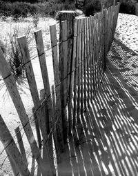 Close-up of shadow on water