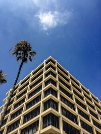 Low angle view of office building and palm tree against sky on sunny day