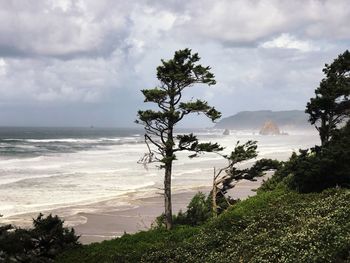 Scenic view of sea against sky