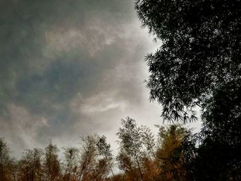 Low angle view of trees against cloudy sky