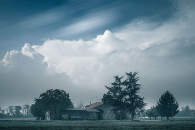 Trees and houses on field against sky