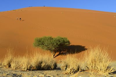 Scenic view of desert against clear sky