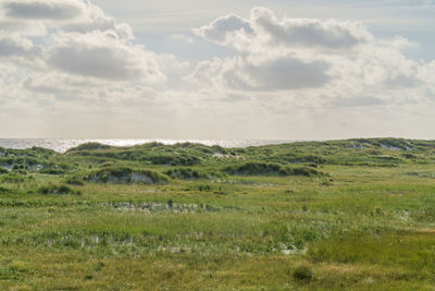 Scenic view of field against sky
