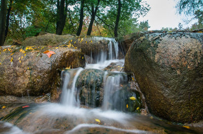 View of waterfall in forest