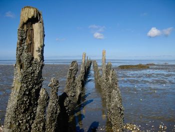 Wooden posts on beach against sky