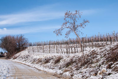 Scenic view of snow covered field against sky