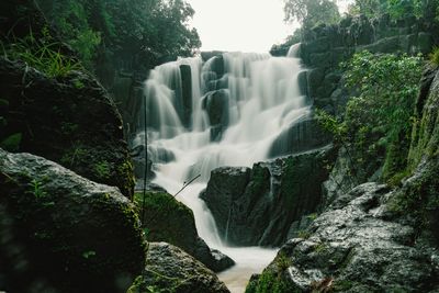 Scenic view of waterfall in forest