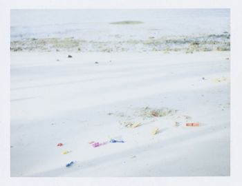 View of sandy beach