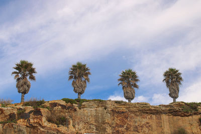 View of trees on landscape against cloudy sky