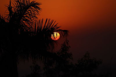 Silhouette palm trees against sky at sunset