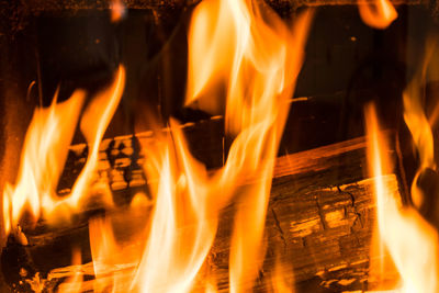 Close-up of illuminated bonfire at night