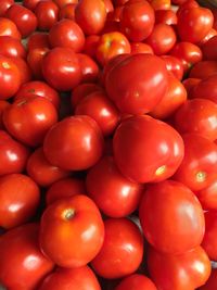 Full frame shot of tomatoes