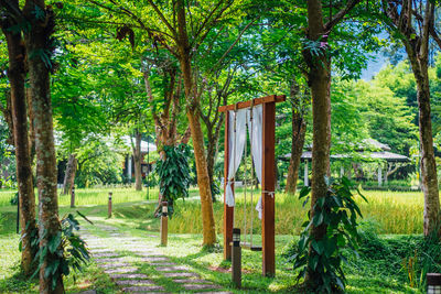 Trees in park