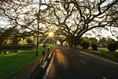 Man walking on road by trees against sky