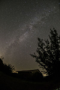 Trees against sky at night