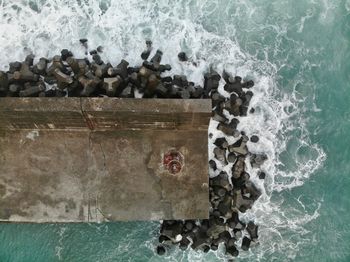 High angle view of crab on rock by sea