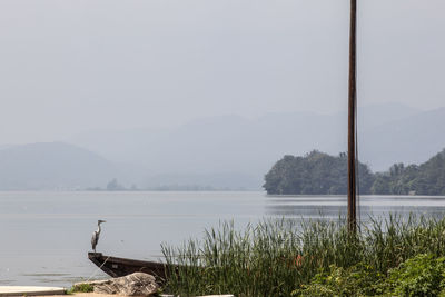 Heron perching on boat moored in river against sky