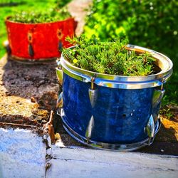 Close-up of potted plant on retaining wall