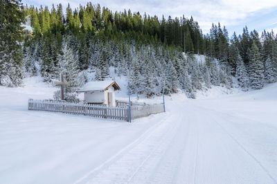 Snow covered house against trees