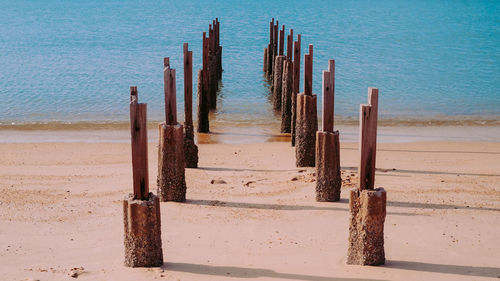 Wooden posts on beach