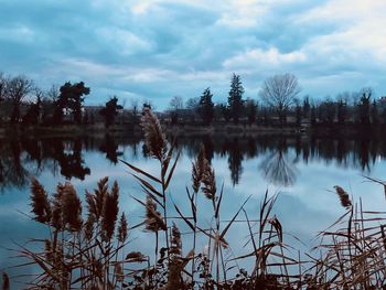 Reflection of trees in lake against sky