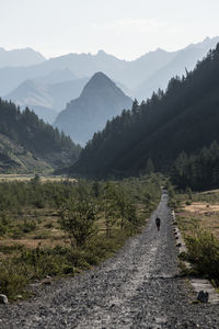 Road amidst landscape against sky