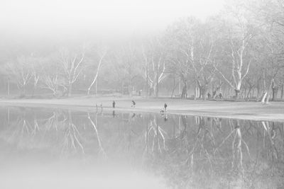 Scenic view of lake during winter