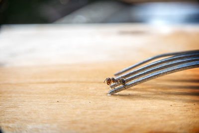 High angle view of piano on table