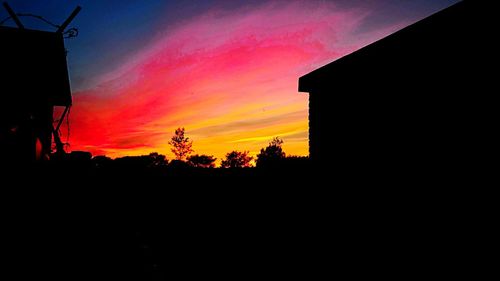 Silhouette trees at sunset