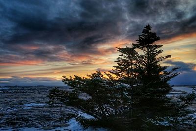 Scenic view of landscape against cloudy sky