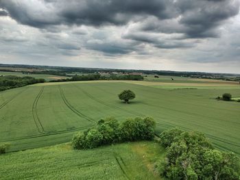 Scenic view of agricultural field against sky