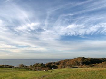 Scenic view of field against sky