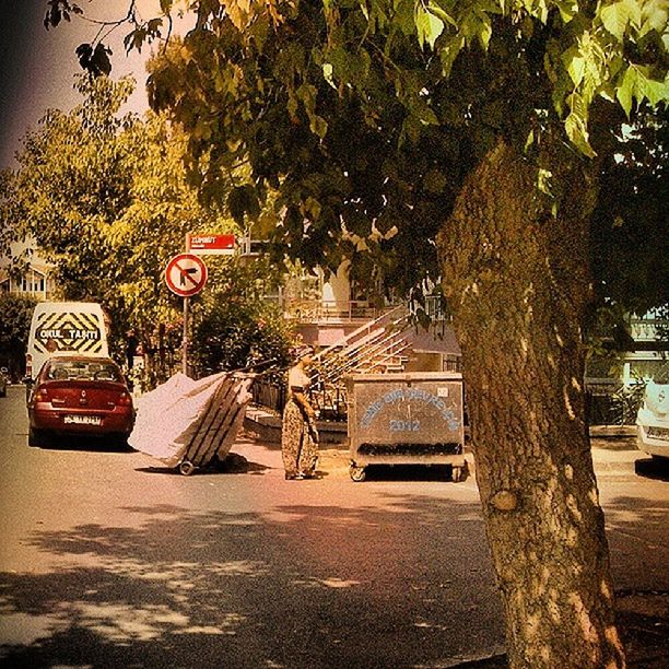 tree, street, transportation, car, road, building exterior, land vehicle, built structure, architecture, sidewalk, mode of transport, text, growth, outdoors, city, branch, the way forward, day, no people, sunlight