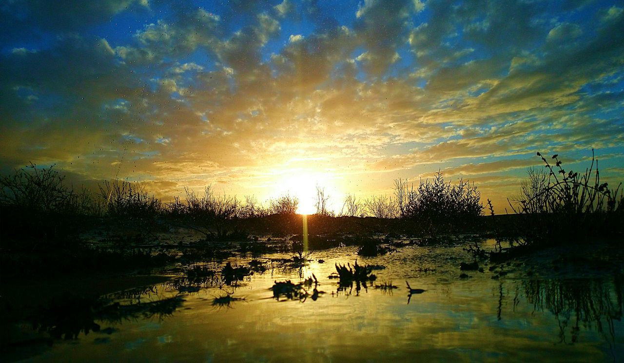 sunset, water, sun, reflection, sky, animal themes, lake, cloud - sky, silhouette, scenics, tranquility, tranquil scene, beauty in nature, bird, nature, sunlight, tree, idyllic, orange color, wildlife